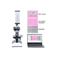 彩谱 FigSpec®系列 显微高光谱成像系统