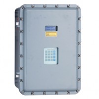 E+H  SS2100i气体分析仪