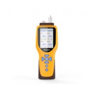 雷泰克raytronix RAY1000-W5气体检测仪