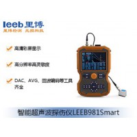 里博  LEEB981Smart智能超声波探伤仪