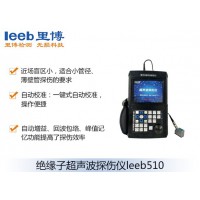 里博  leeb510绝缘子超声波探伤仪
