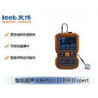 里博  LEEB981Expert智能超声波探伤仪
