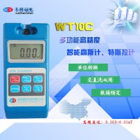 韦特   WT10C  高斯计